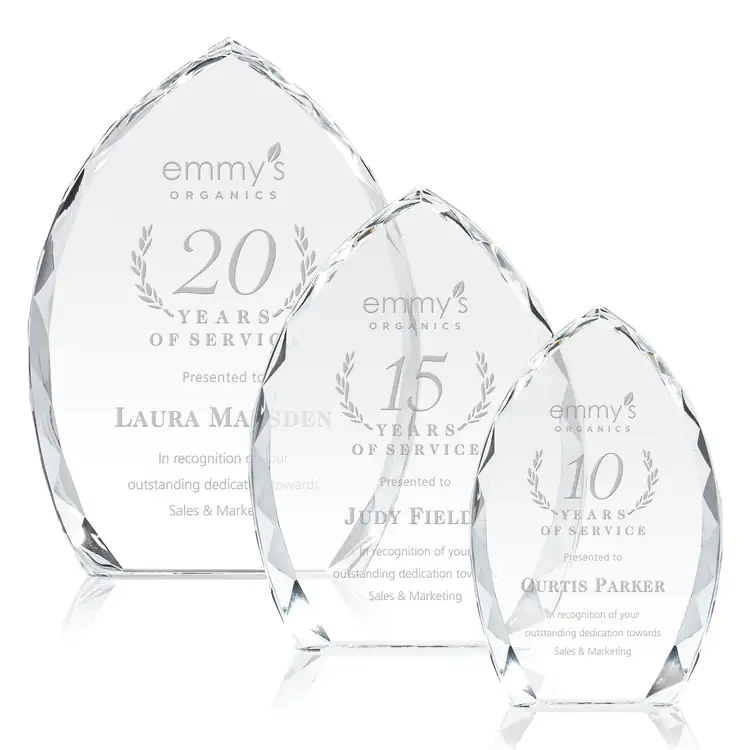 Wilton Optical Crystal Award - Deep Etch