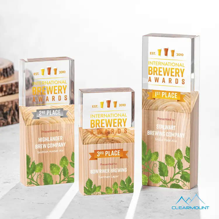Plante Wood and Acrylic Column Award - Multicolor