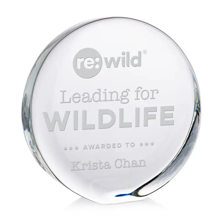 Standing Disk Optical Crystal Award - Deep Etch #2