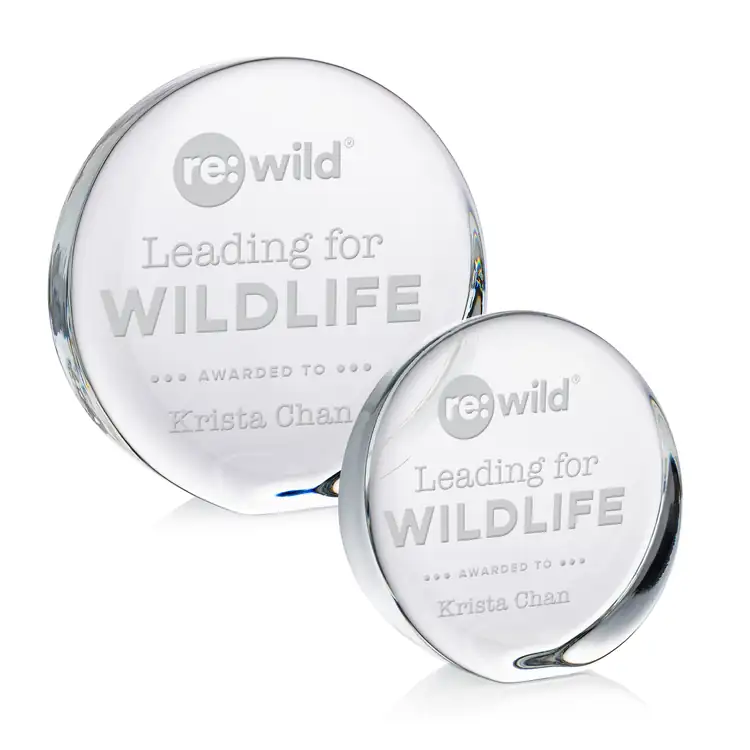 Standing Disk Optical Crystal Award - Deep Etch