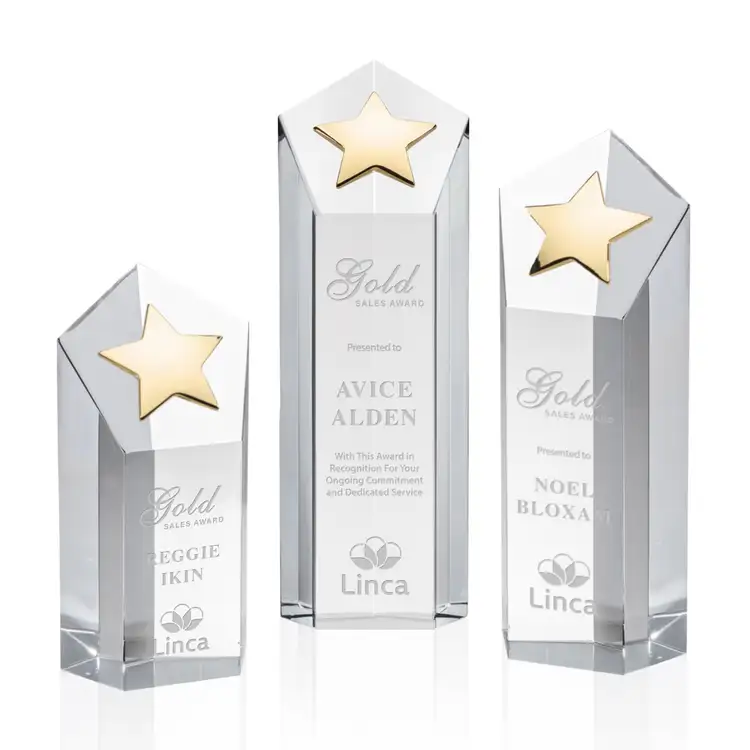 Dorchester Gold Star Award #2