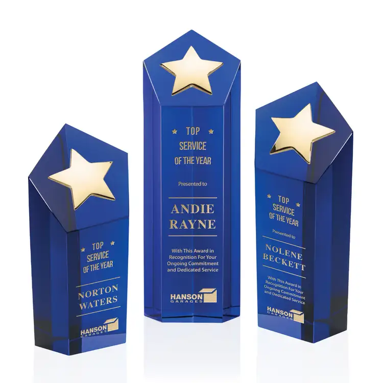 Dorchester Gold Star Award #3
