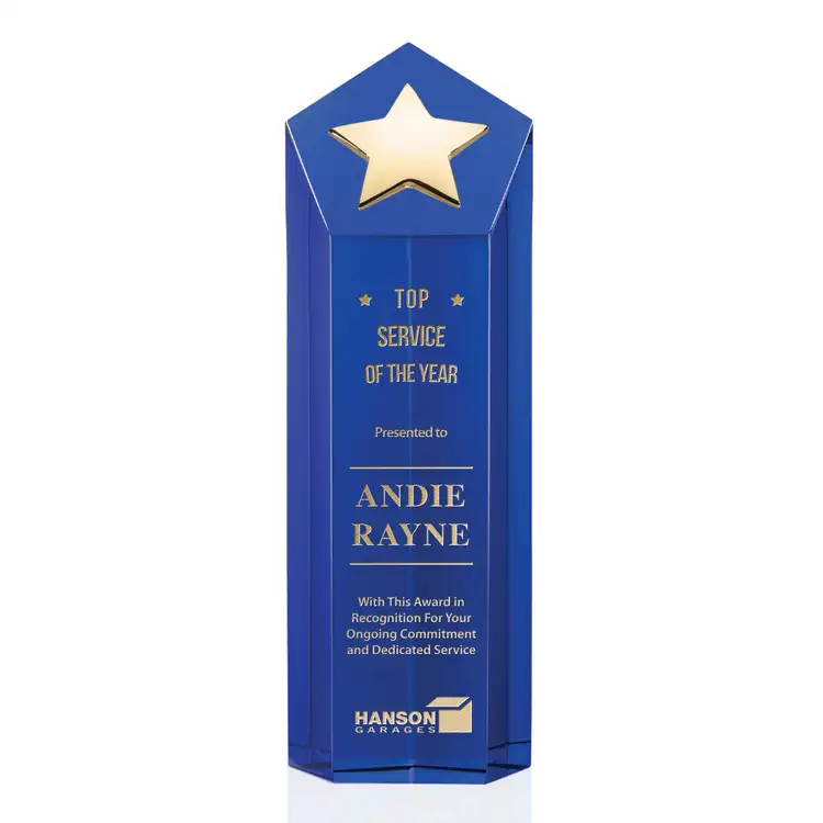 Dorchester Gold Star Award #6
