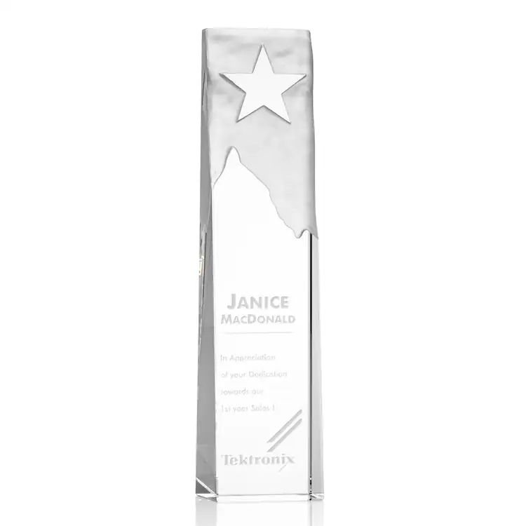 Stapleton Optical Crystal Star Award #4