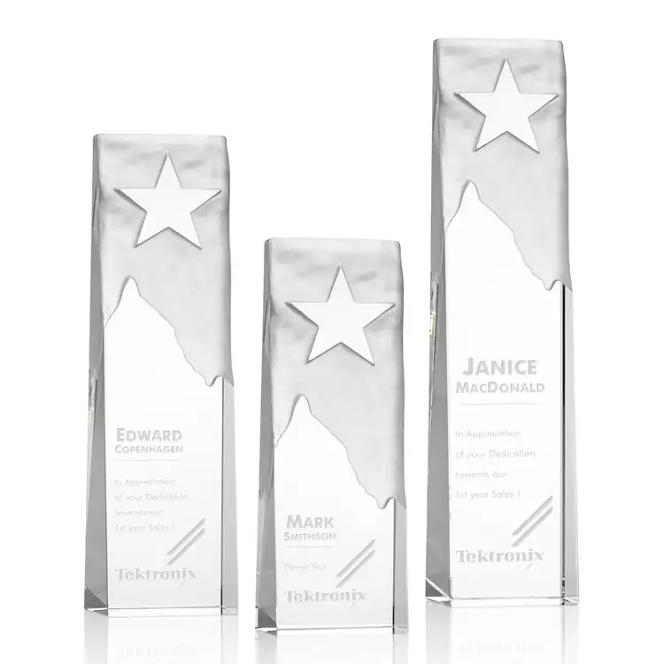 Stapleton Optical Crystal Star Award