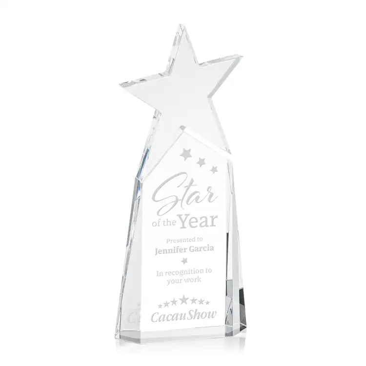 Vernon Optical Crystal Star Award #2