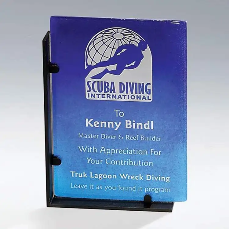 Recycled Rectangle Award #4