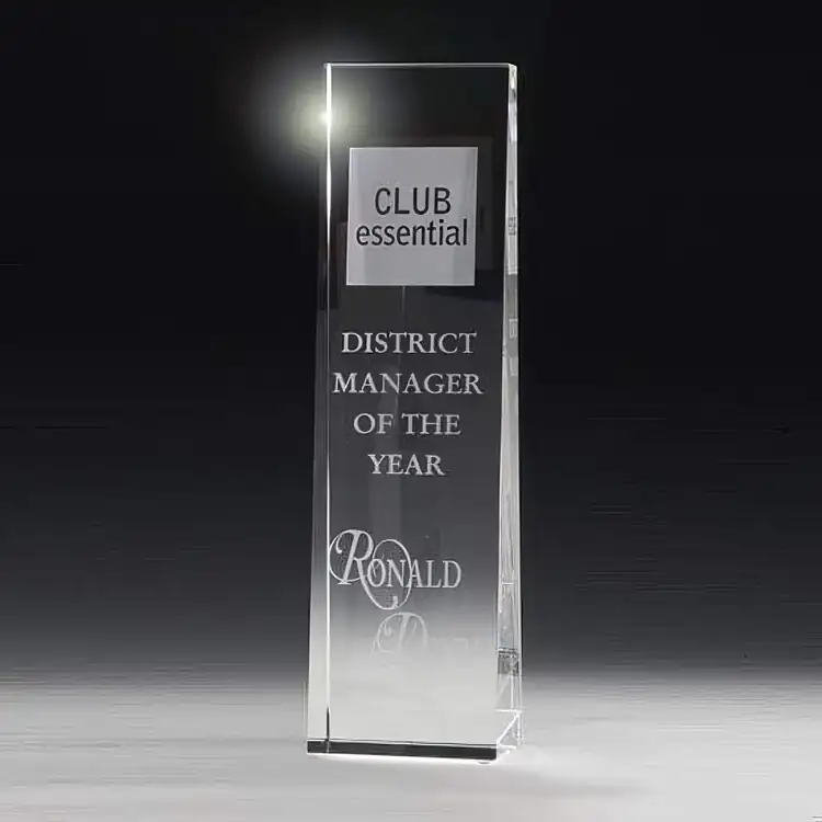 R.S. Owens McKinley Tower Optical Crystal Award #4