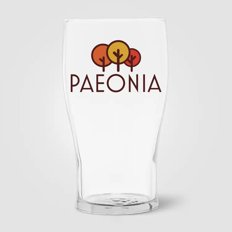 Brewster Beer Glass 20 oz #2
