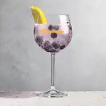 Ainsworth 19 oz Gin & Tonic Glass - Print