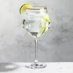 Tucson Gold Rim 23 oz Gin & Tonic Glass - Laser Engraved