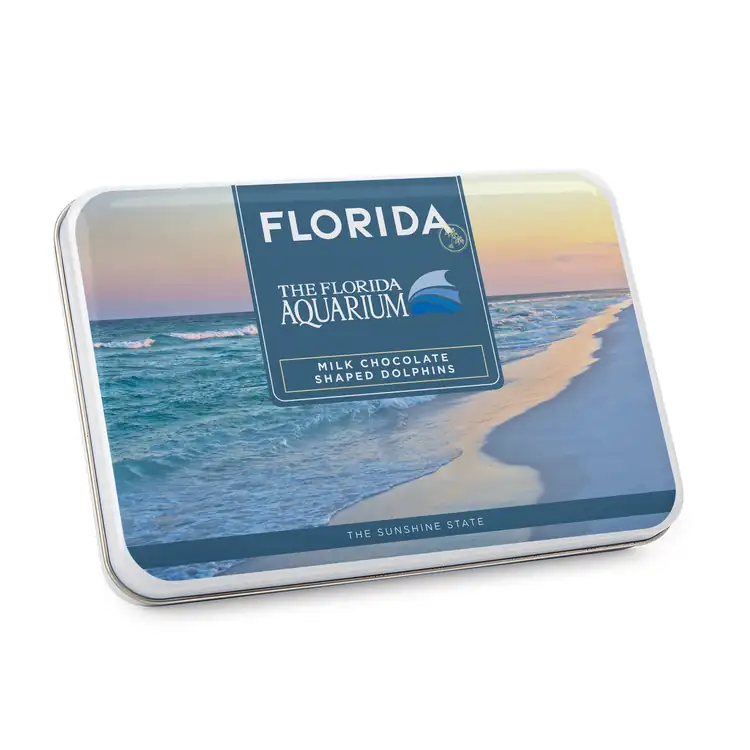 Gift Tin with Dolphin Shaped Chocolates #2