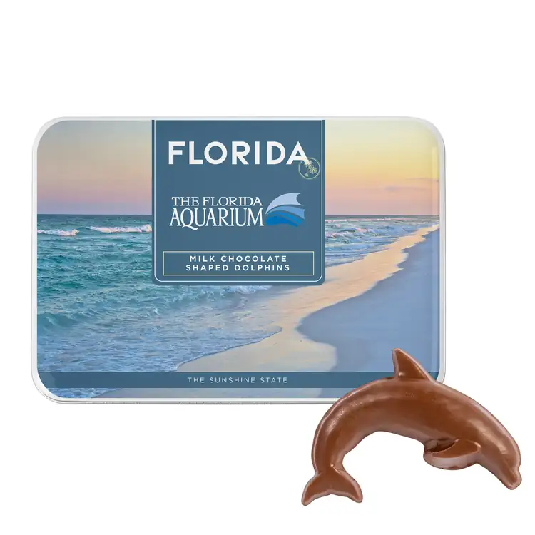 Gift Tin with Dolphin Shaped Chocolates