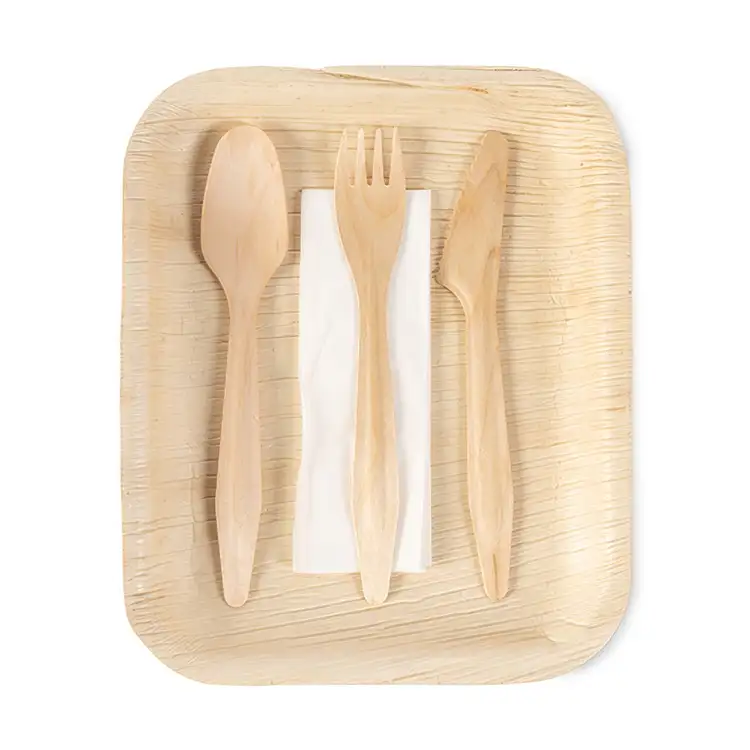 Verterra Plate/Utensil Dinnerware Set #2