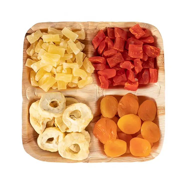 Verterra 4 Section Snack Tray #2