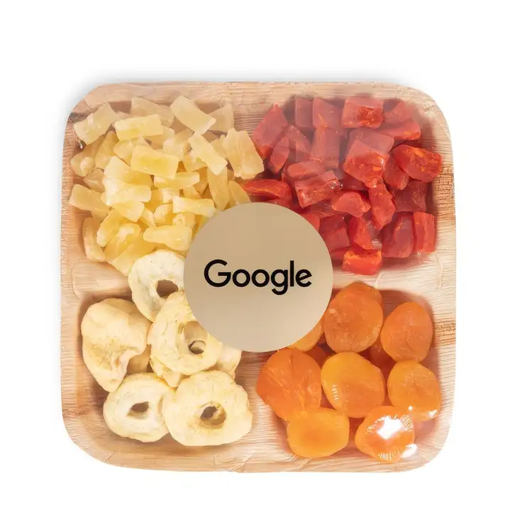 Verterra 4 Section Snack Tray #3